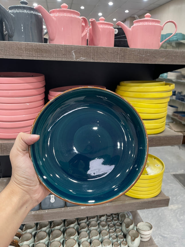 Leftover 8.5 inch Entree Bowl ( Peacock Green Colorline )