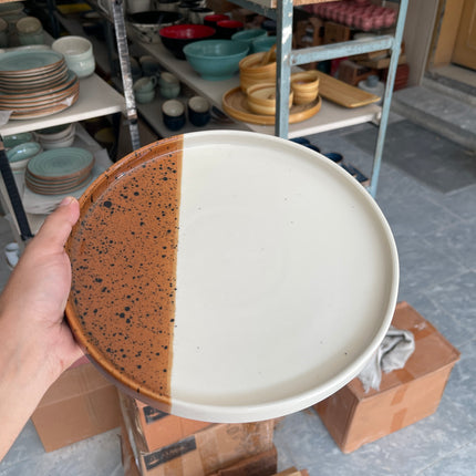 Leftover 10 inch Classic Plate ( Sandstorm Series )