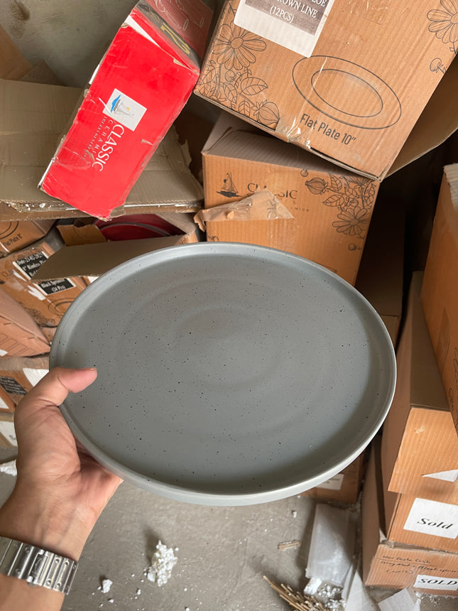 Leftover 12 inch Classic Plate ( Grey Matte with Black Specks )