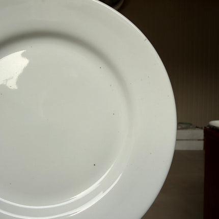 Leftover 8 inch flat plate ( Glossy White )
