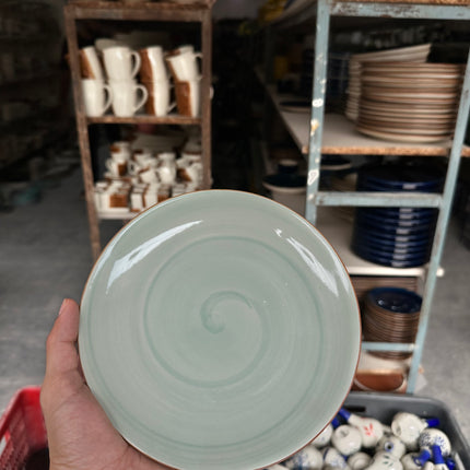 Leftover 8 inch Rimless Plate ( Teal Colorline Brown line )