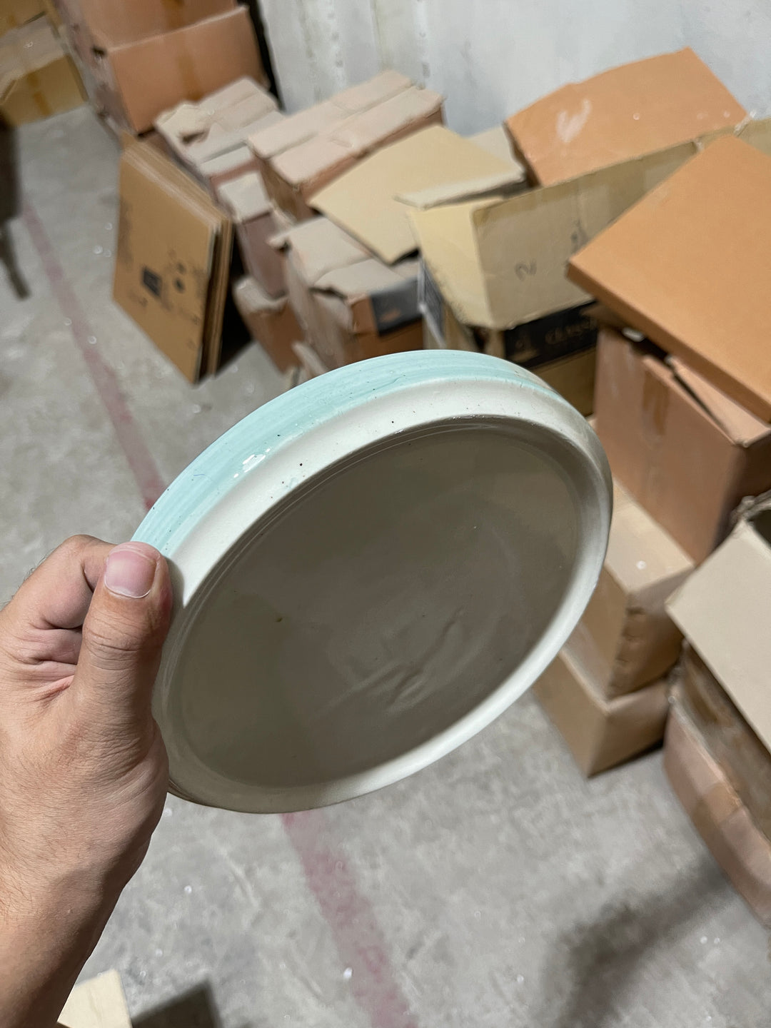 Leftover 8 inch Classic Plate ( Breeze with black rim )