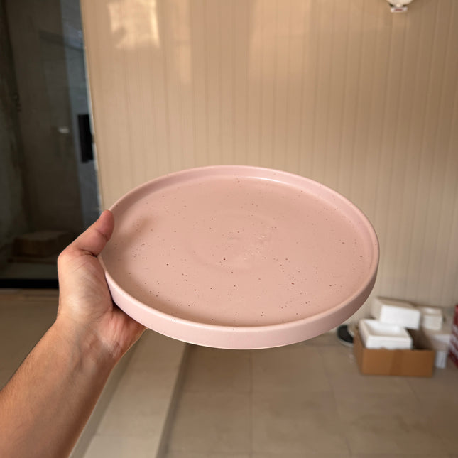 Leftover 10 inch Classic Plate ( Old Rose Matte )
