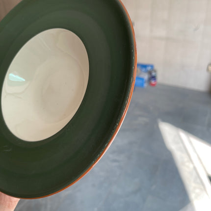 Leftover 9.5 inch Pasta Plate ( Dark Green Colorline with black rim )