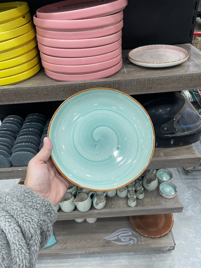 Leftover 8.5 inch Entree Bowl ( Teal Colorline )