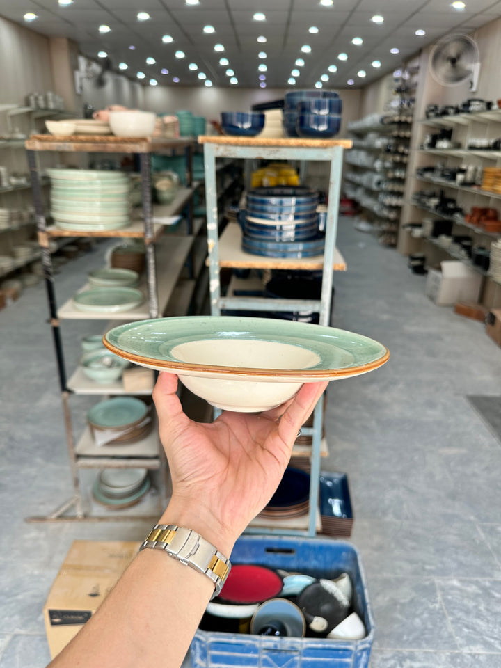 Leftover 9.5 inch Pasta Plate ( Breeze with brown rim )