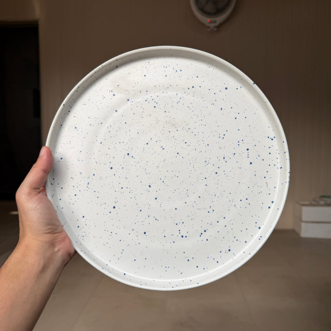 Leftover 12 inch Classic Plate ( Snow Abyss )
