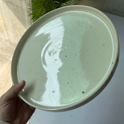 Leftover 10 inch Classic Plate ( Glossy Off-White with Brown Specks )