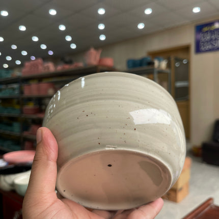 Leftover 6 inch Noodle Bowl ( Grey Colorline )
