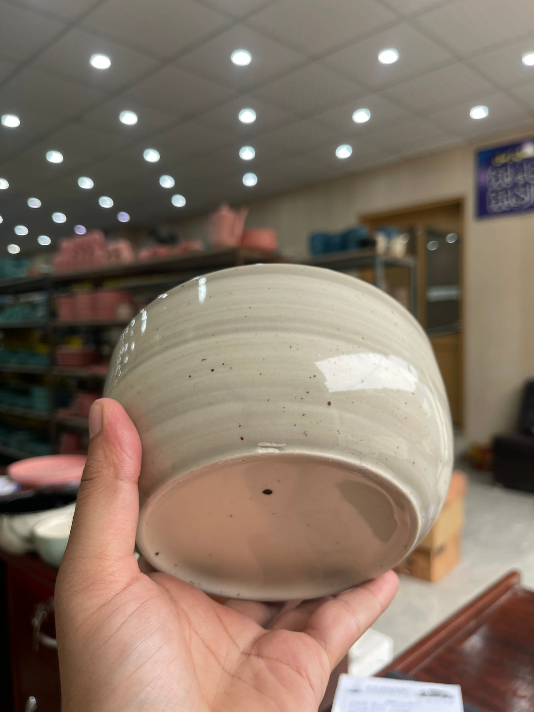 Leftover 6 inch Noodle Bowl ( Ash )