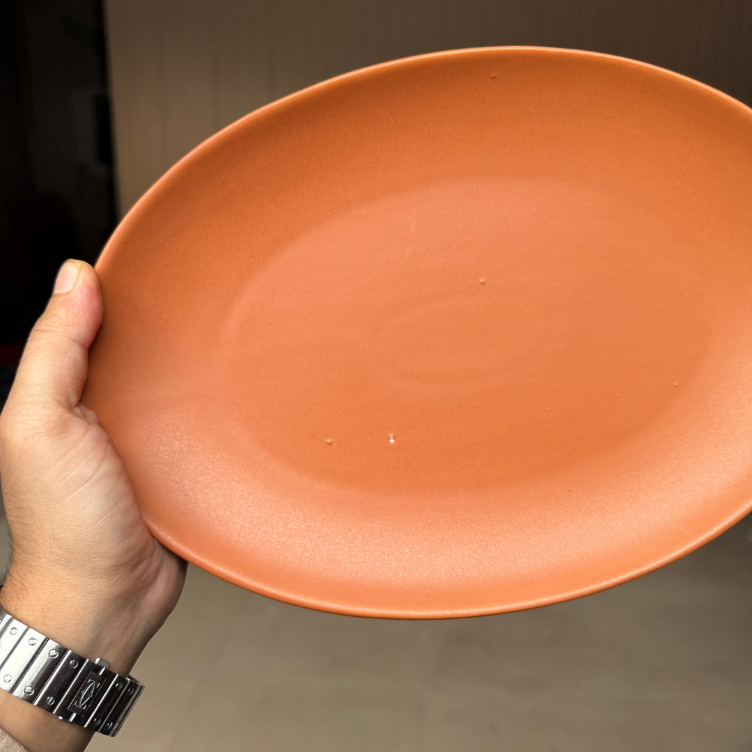 Leftover 11 inch Rimless Rice Dish ( Terracotta Matte )