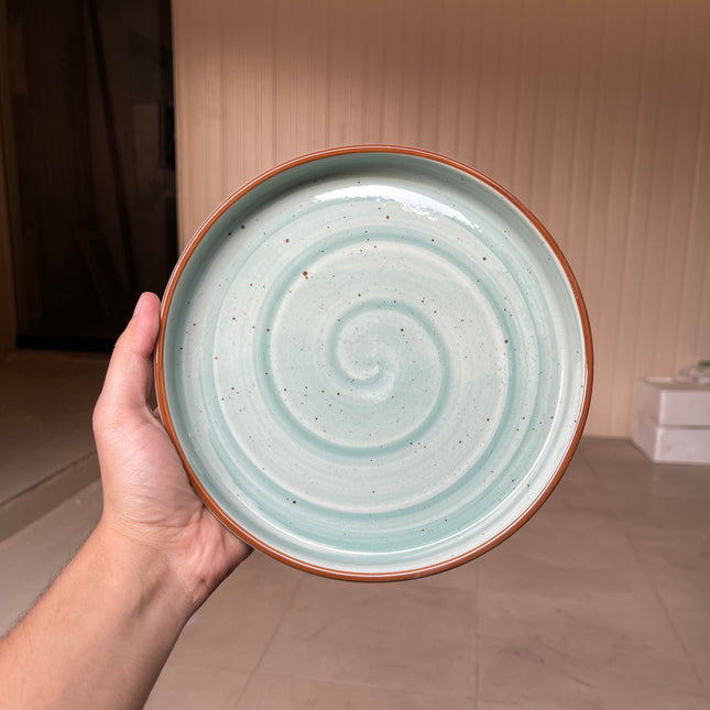 Leftover 8 inch Classic Plate ( Teal Colorline )