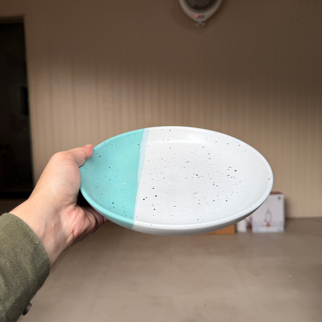 Leftover 8.5 inch Entree Bowl ( Laguna )