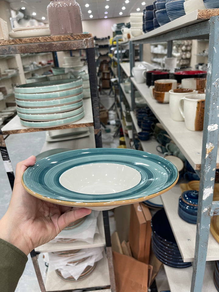 Leftover 9.5 inch Pasta Plate ( Peacock Green Brown line )