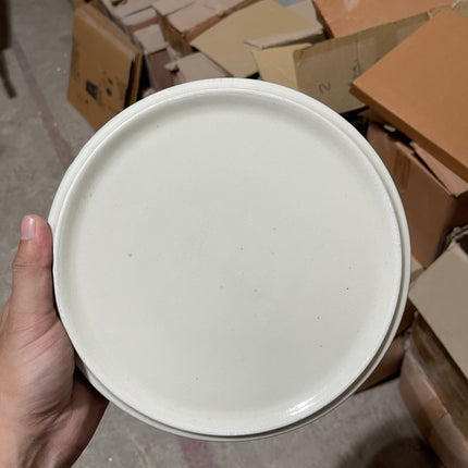 Leftover 8 inch Classic Plate ( Teal Colorline with Black line )