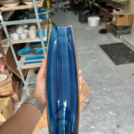 Leftover Curved Sushi Platter ( Cobalt Blue Colorline )