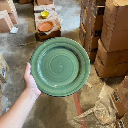 Leftover 10 inch Flat Plate ( Dark Green Colorline with Black Line )