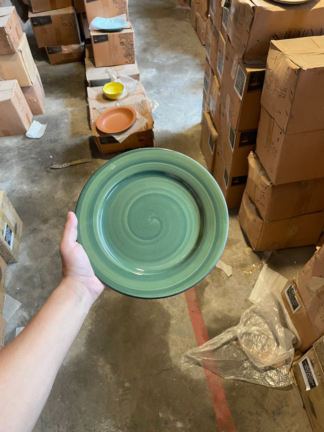 Leftover 10 inch Flat Plate ( Dark Green Colorline with Black Line )