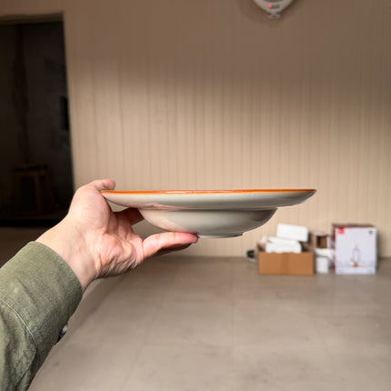 Leftover 9 inch Deep wide Plate ( Breeze )