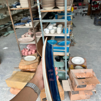 Leftover Curved Sushi Platter ( Cobalt Blue Colorline )