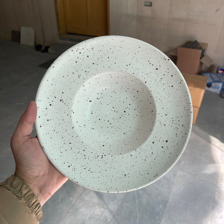 Leftover 9.5 inch Pasta Plate ( Snow Garnet )