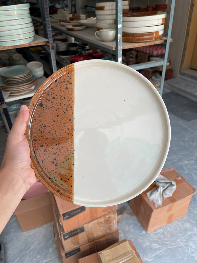 Leftover 10 inch Classic Plate ( Sandstorm Series )
