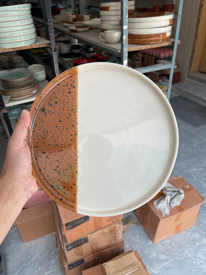 Leftover 10 inch Classic Plate ( Sandstorm Series )