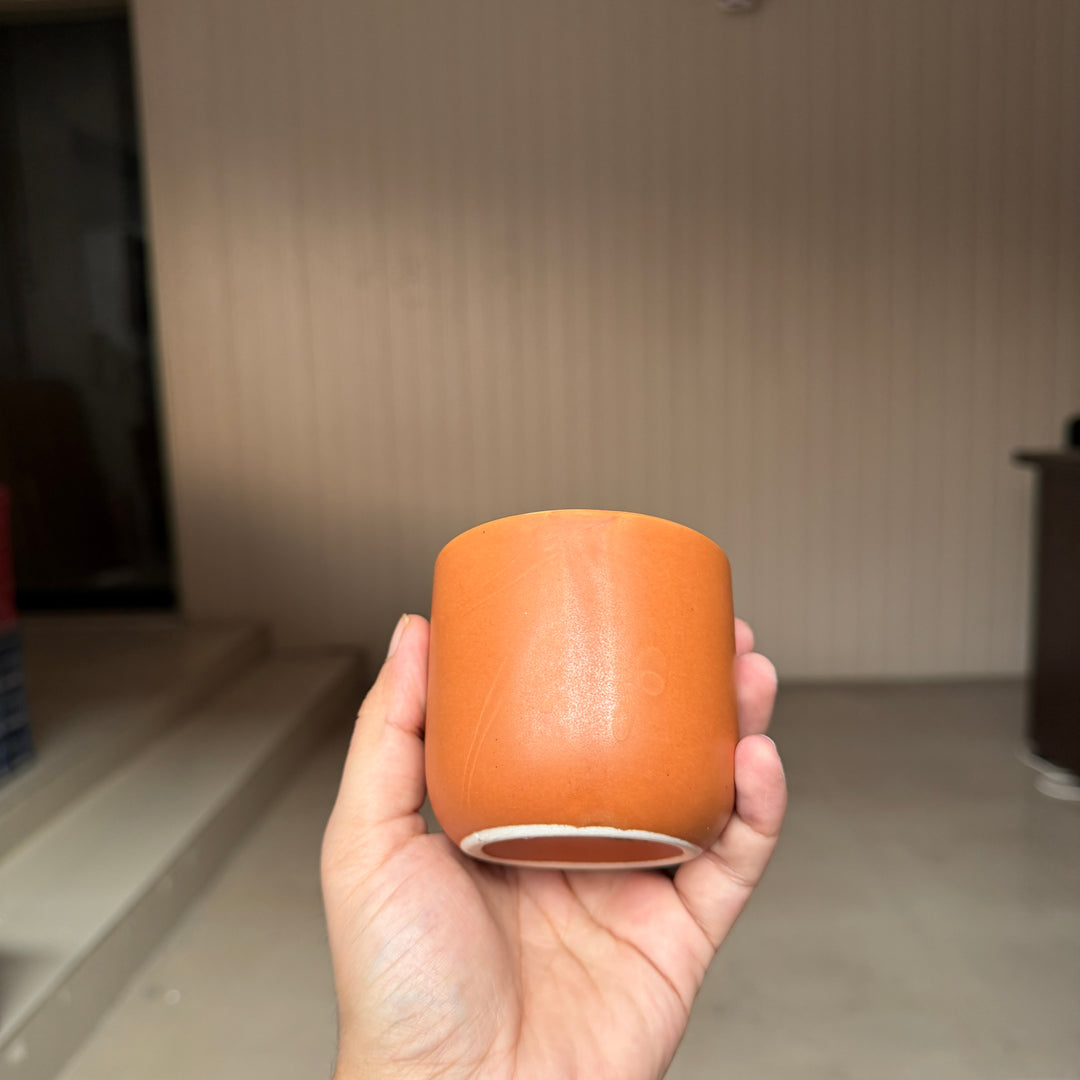 Leftover Cortado Cup ( Terracotta Matte ) ( 180 ml )