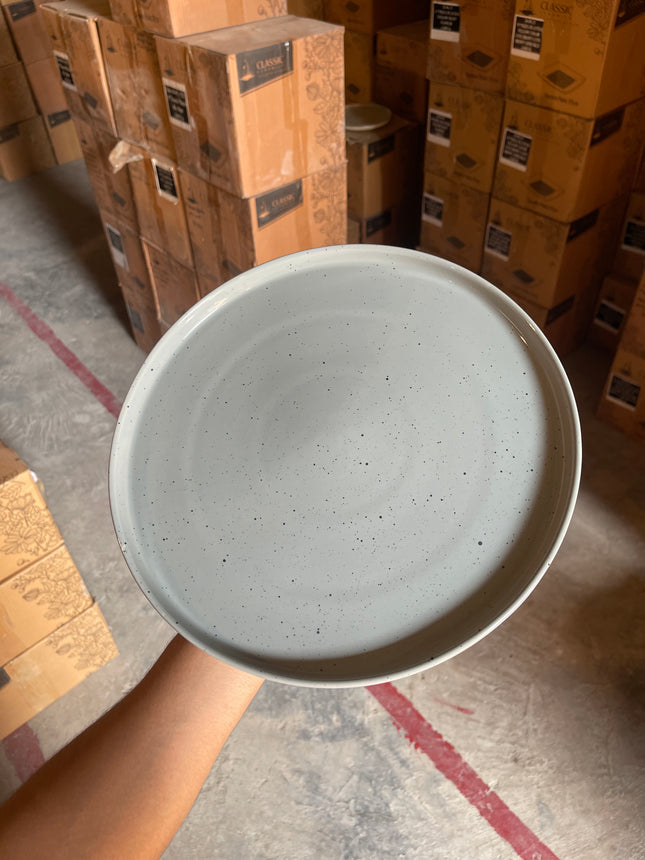 Leftover 12 inch Classic Plate ( Shiny Grey with Black Specks )