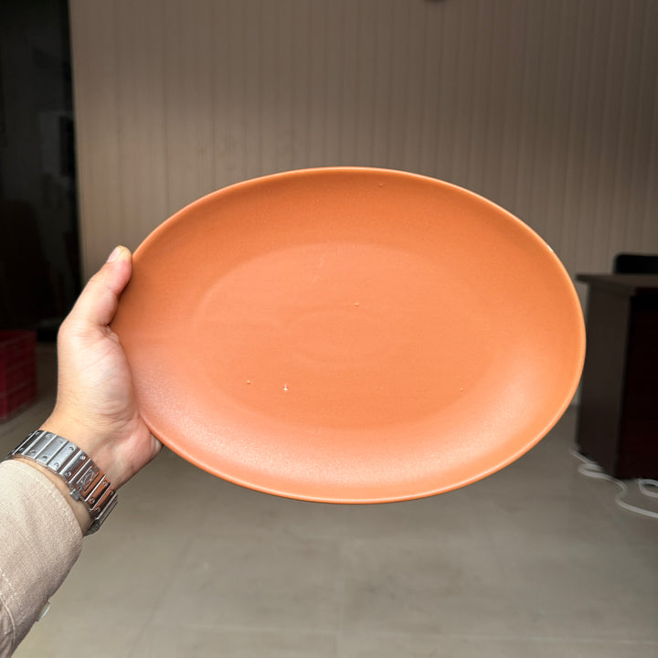 Leftover 11 inch Rimless Rice Dish ( Terracotta Matte )
