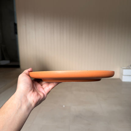 Leftover 10 inch Lite Classic Plate ( Terracotta matte with black specks )