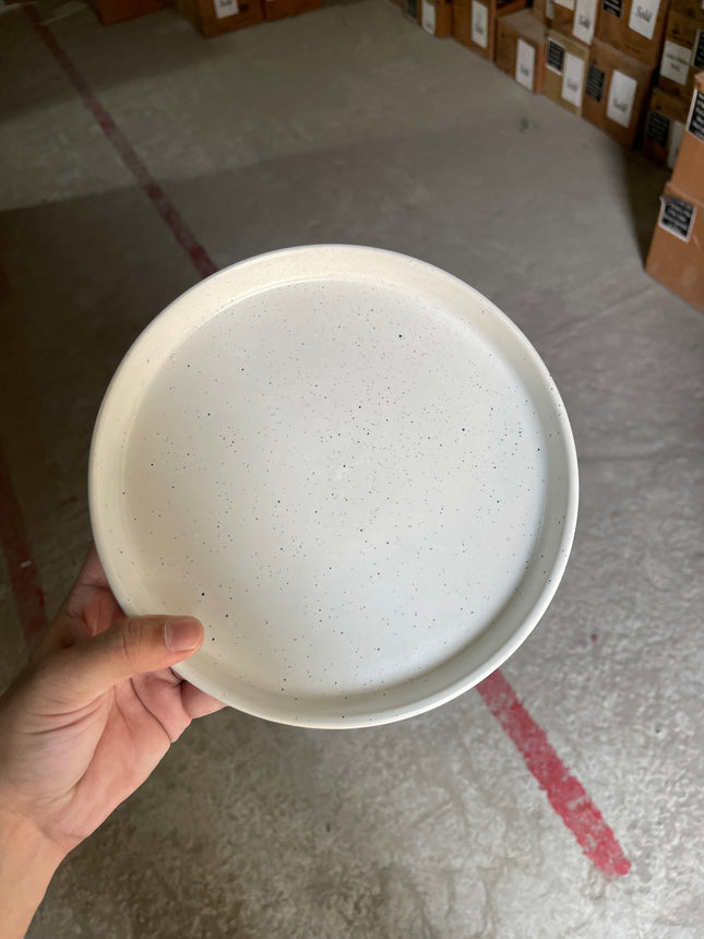 Leftover 8 inch Classic Plate ( White Matte Black Specks )