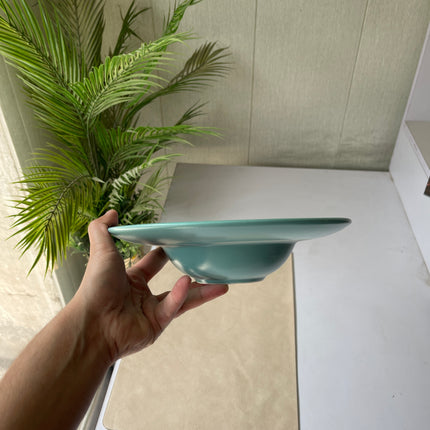 Leftover 9.5 inch Pasta Plate ( Firozi Matte with white specks )