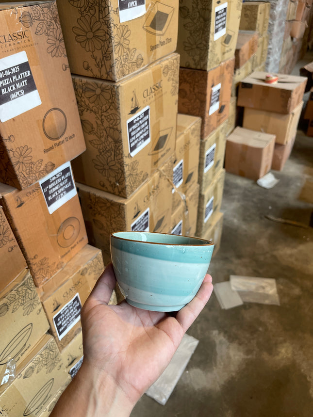 Leftover 4.5" NV Bowl ( Teal Colorline )