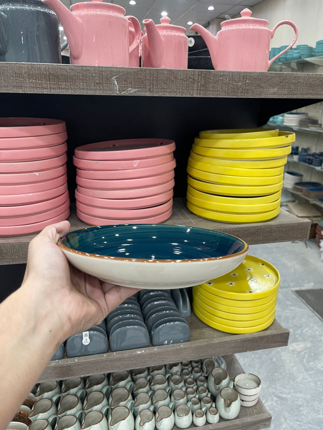 Leftover 8.5 inch Entree Bowl ( Peacock Green Colorline )
