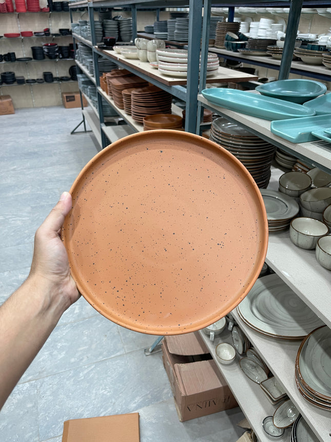 Leftover 10 inch Classic Plate ( Terracotta Matte with Black Specks )