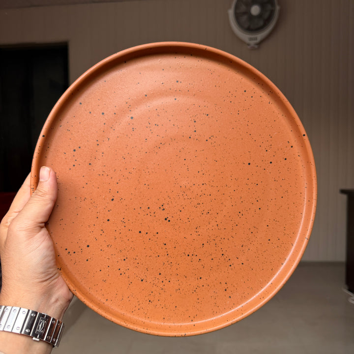 Leftover 12 inch Classic Plate ( Terracotta matte with black specks )
