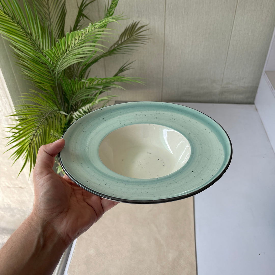 Leftover 9.5 inch Pasta Plate ( Breeze with black rim )