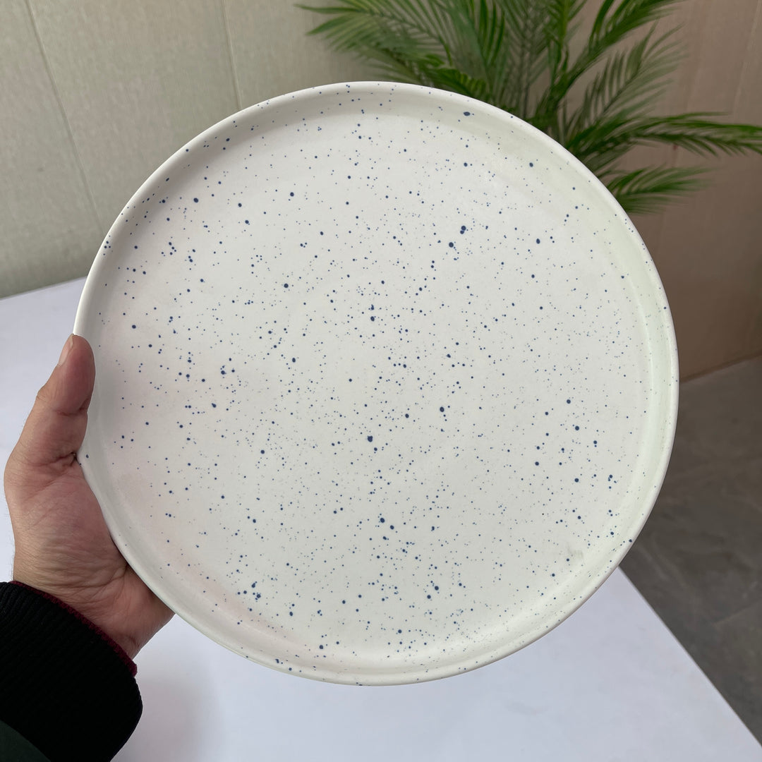 Leftover 10 inch Classic Plate ( Snow Abyss )