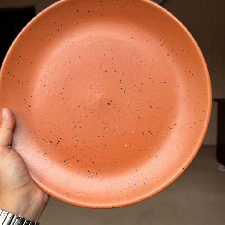 Leftover 11 inch Rimless Plate ( Terracotta matte with black specks ) ( Set of 6 )