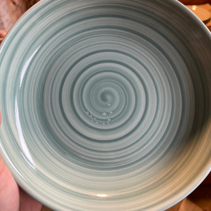 Leftover 8.5 inch Entree Bowl ( Teal Colorline )
