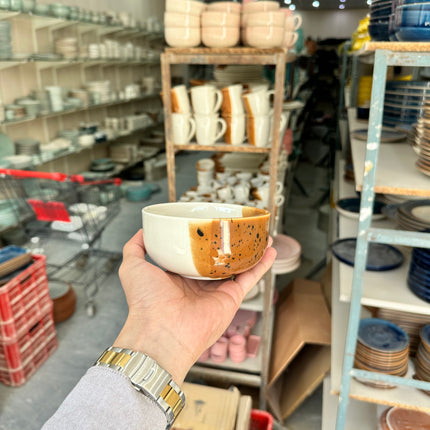 Leftover 5 inch Single Serving Bowl ( Sandstorm Series )