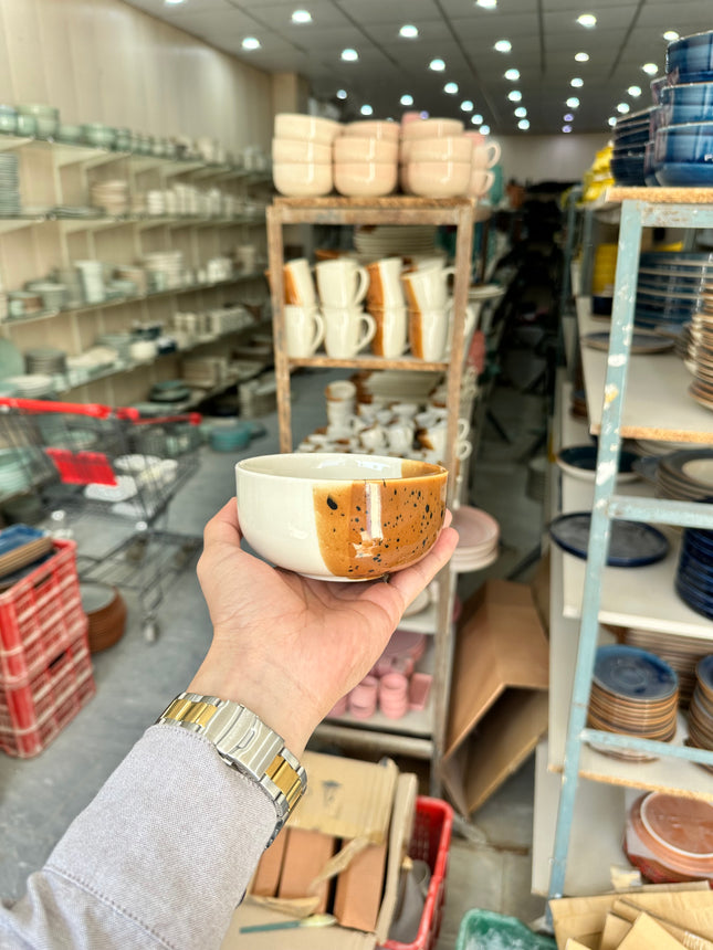 Leftover 5 inch Single Serving Bowl ( Sandstorm Series )