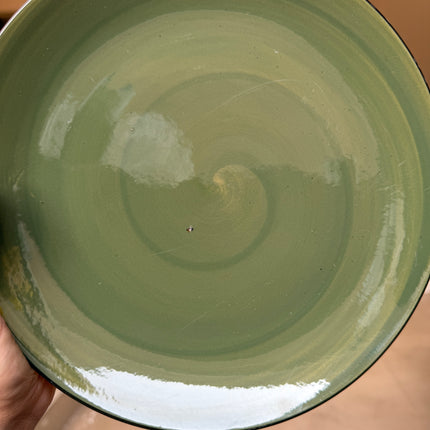 Leftover 10 inch Rimless Plate ( Dark Green Colorline with black rim )