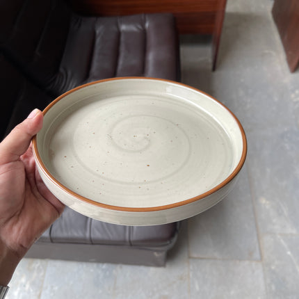 Leftover 8 inch Classic Plate ( Grey Colorline )