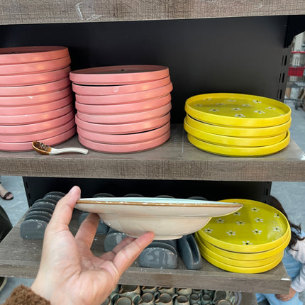 Leftover 9 inch Deep wide Plate ( Teal Colorline )