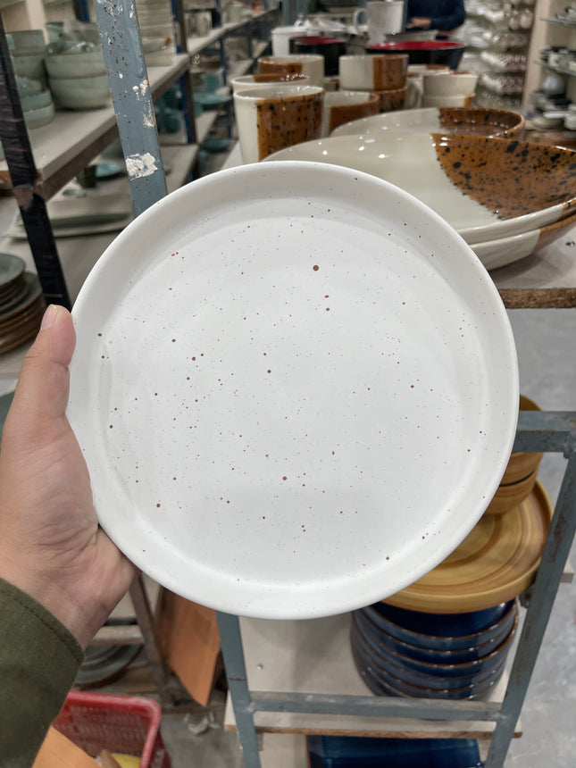 Leftover 8 inch Classic Plate ( White Matte with Brown Specks )