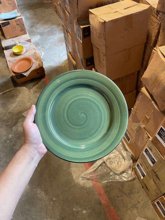 Leftover 10 inch Flat Plate ( Dark Green Colorline with Black Line )
