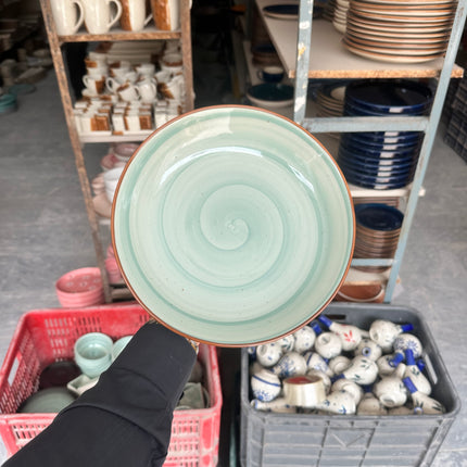 Leftover 10 inch Entree Bowl ( Teal Colorline Brown line )