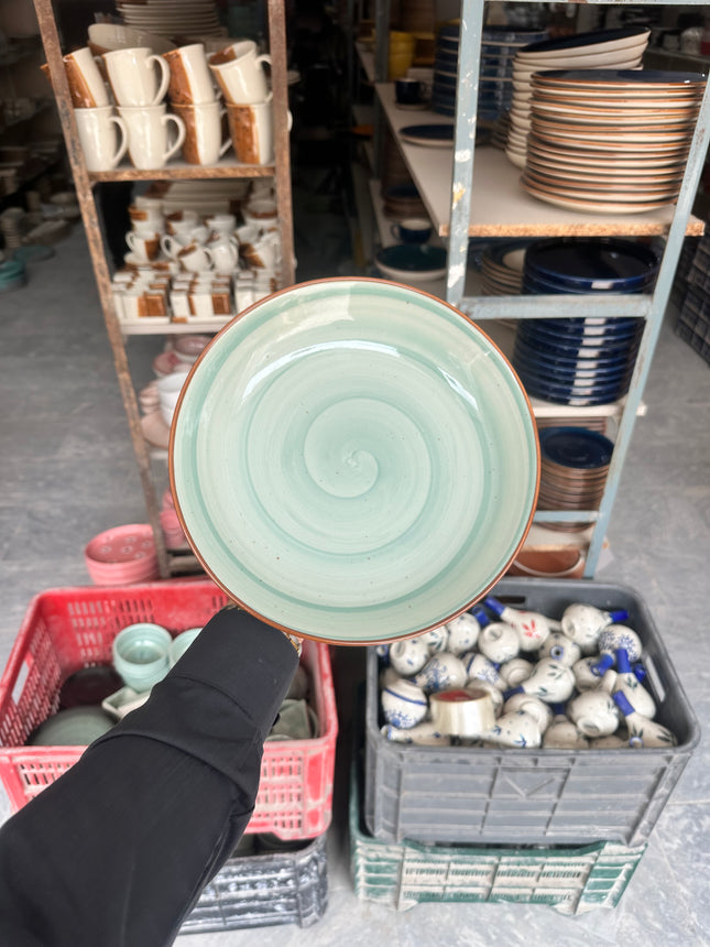 Leftover 10 inch Entree Bowl ( Teal Colorline Brown line )